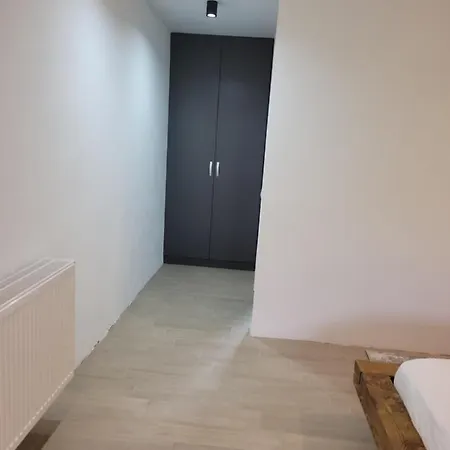 Pensiunea Craisorul Muntelui Guest house *