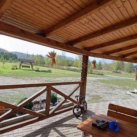 Pensiunea Craisorul Muntelui Guest house Bucium (Brasov)